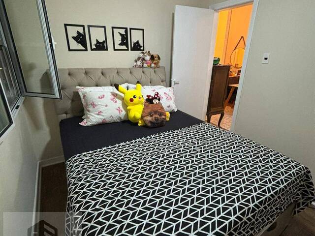 Apartamento para Venda em São Vicente - 4